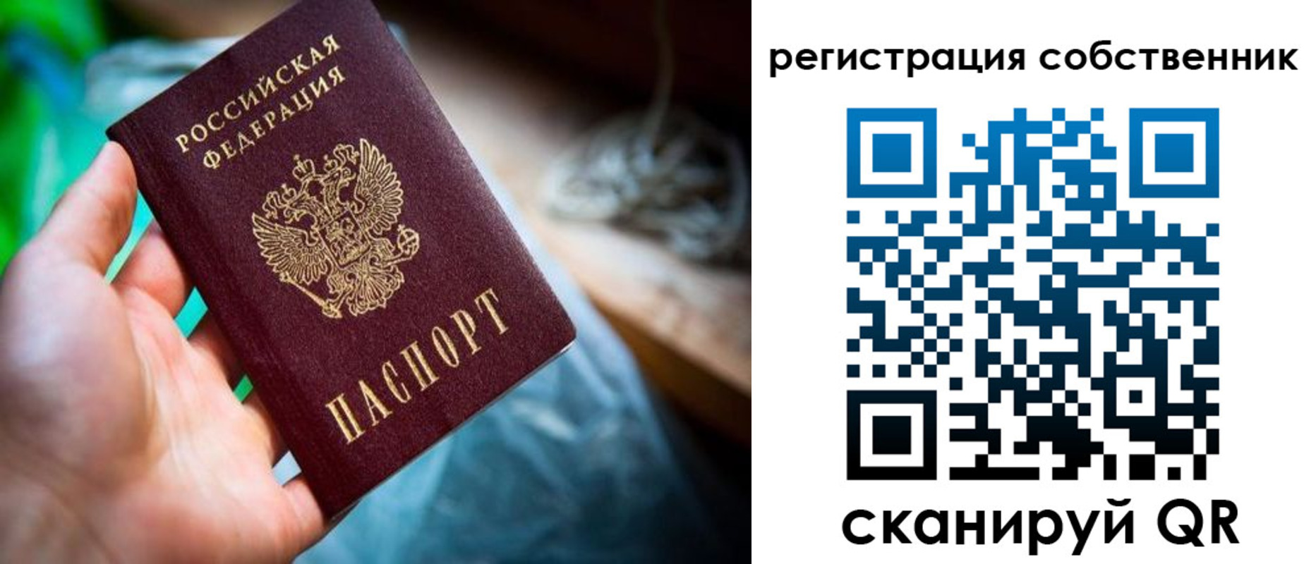 прописка гарантия в Обояни